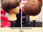 Asta - la - vista Учебный центр
