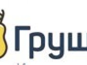 Груша