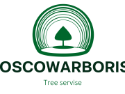 Арбористы Москвы