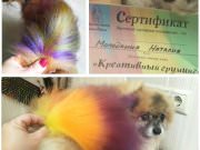 Груминг салон ZoO`key (Зоокей)
