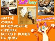 Груминг салон ZoO`key (Зоокей)