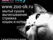 Груминг салон ZoO`key (Зоокей)