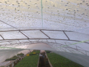 Позитив СТС