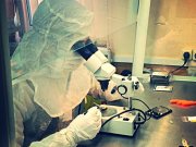 Сити мастер