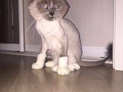 Шарлотт и Мегг