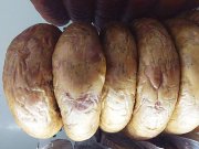 Стол заказов ПО "ЦШК"