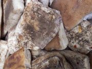 Стол заказов ПО "ЦШК"