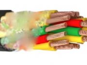 Электро - САД