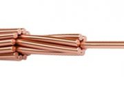 Электро - САД