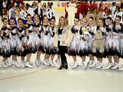 IceFusion